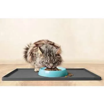 CatGuru Whisker Friendly Cat Bowls for Indoor Cats