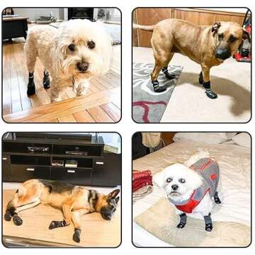 BINGPET Dog Socks - Waterproof Anti-Slip Paw Protector