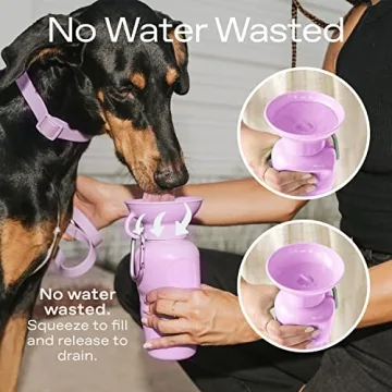 Springer Portable Dog Water Bottle for Travel & Adventures
