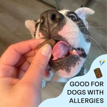 Chippin Cricket Treats - Hypoallergenic Delicious Dog Snack