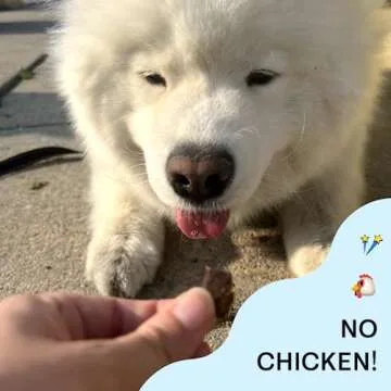 Chippin Cricket Treats - Hypoallergenic Delicious Dog Snack