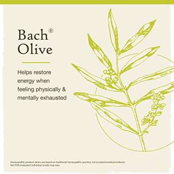 Bach Original Flower Remedies, Olive for Energy, Natural Homeopathic Flower Essence, Holistic Wellness and Stress Relief, Vegan, 20mL Dropper