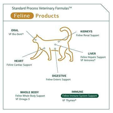 Standard Process Feline Immune System Support - Nutritional Supplement for Feline Immune Health Support - Cat Supplement Tablets to Aid Healthy Immune Cells & Tissue - 90 Tablets