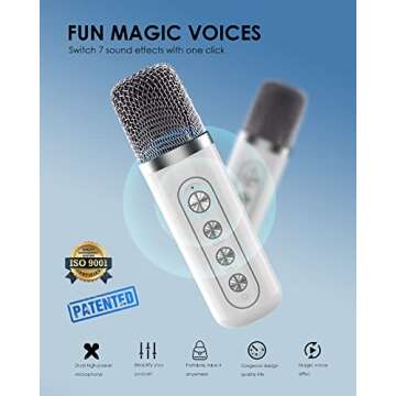 FULLIFE Portable Karaoke Machine with Bluetooth and Microphones