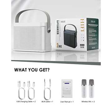 FULLIFE Portable Karaoke Machine with Bluetooth and Microphones