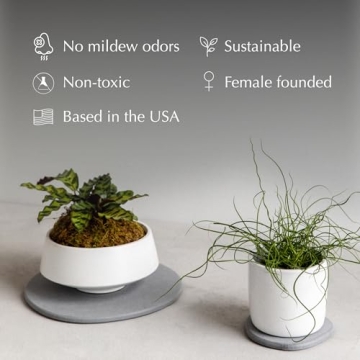 Dorai Stone Plant Pot Saucer for Indoor Plants Water Catcher
