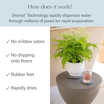 Dorai Stone Plant Pot Saucer for Indoor Plants Water Catcher