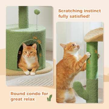 PAWZ Road Cactus Cat Tree - Unique 32” Cat Tower & Cozy Condo for Kittens