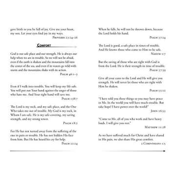 The Bible Promise Book - NLV (New Life Bible)