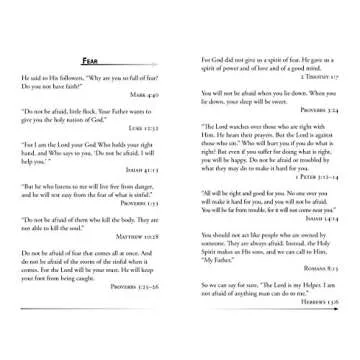 The Bible Promise Book - NLV (New Life Bible)