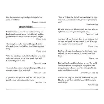 The Bible Promise Book - NLV (New Life Bible)