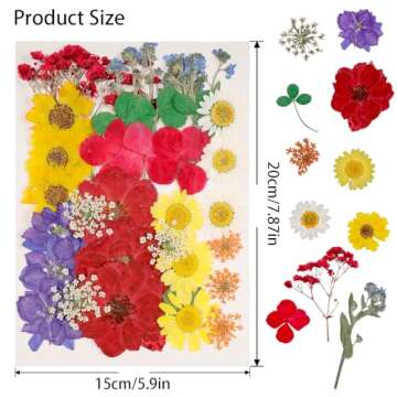 180Pcs Dried Pressed Flowers Resin Mould Real Pressed Flowers Natural Dry Leaves Bulk Mixed Colorful...