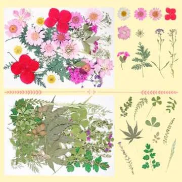 180Pcs Dried Pressed Flowers Resin Mould Real Pressed Flowers Natural Dry Leaves Bulk Mixed Colorful Herbs Kit with Tweezers for Scrapbooking DIY Candle Jewelry Crafts Making Nails (Bright Color)
