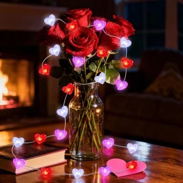 Bolvinaso Heart String Lights 10FT for Valentine Decor