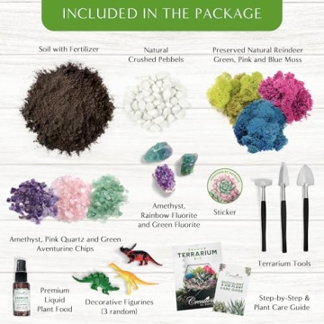DIY Terrarium Starter Kit for All Ages - Handcrafted in USA