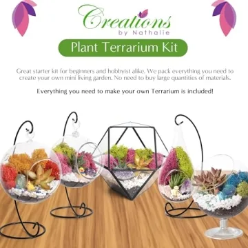 DIY Terrarium Starter Kit for All Ages - Handcrafted in USA