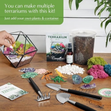 DIY Terrarium Starter Kit for All Ages - Handcrafted in USA