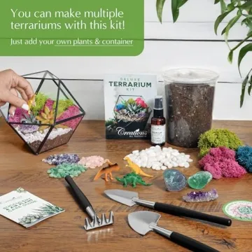 DIY Terrarium Starter Kit for All Ages - Handcrafted in USA