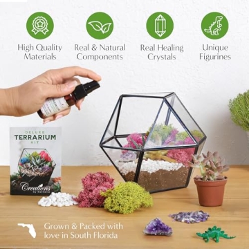DIY Terrarium Starter Kit for All Ages - Handcrafted in USA