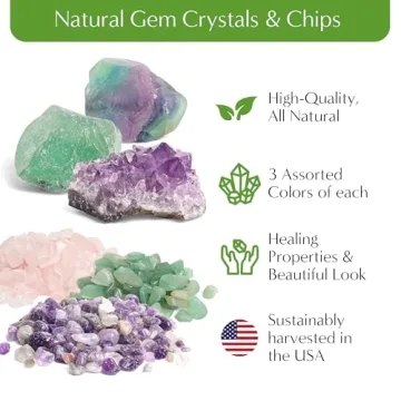 DIY Terrarium Starter Kit for All Ages - Handcrafted in USA