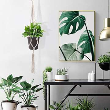 The Next Gardener 6 Inch Plant Pots Indoor Set of 5 Flower Pot Plastic Planters Modern Decorative Garden Pot with Drainage and Plugs for All House Plants, Herbs, Foliage Plants, Hanging Plants, Gray