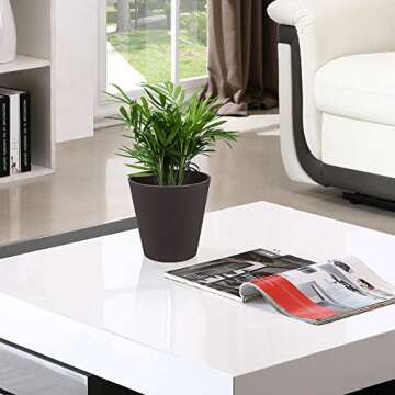 The Next Gardener 6 Inch Plant Pots Indoor Set of 5 Flower Pot Plastic Planters Modern Decorative Garden Pot with Drainage and Plugs for All House Plants, Herbs, Foliage Plants, Hanging Plants, Gray