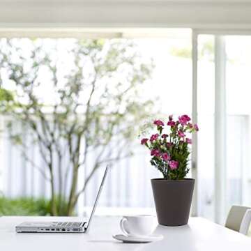 The Next Gardener 6 Inch Plant Pots Indoor Set of 5 Flower Pot Plastic Planters Modern Decorative Garden Pot with Drainage and Plugs for All House Plants, Herbs, Foliage Plants, Hanging Plants, Gray