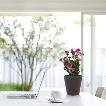 The Next Gardener 6 Inch Plant Pots Indoor Set of 5 Flower Pot Plastic Planters Modern Decorative Garden Pot with Drainage and Plugs for All House Plants, Herbs, Foliage Plants, Hanging Plants, Gray