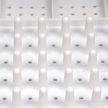 Casaphoria Collapsible Small Dryer Rack Over The Sink for Counter Plate Rack,Plastic Portable Dinnerware Organizer-Space Saving Storage Tray