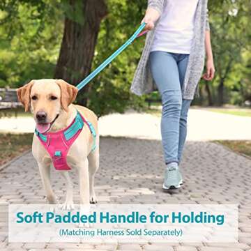 PHOEPET 5 Feet Dog Leash with Comfortable Padded Handle Easy Snap Clasp - Reflective Walking Lead fo...