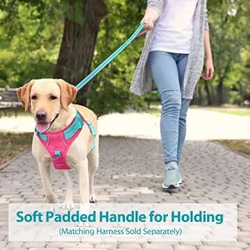 PHOEPET 5 Feet Dog Leash with Comfortable Padded Handle Easy Snap Clasp - Reflective Walking Lead fo...