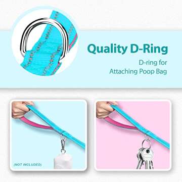 PHOEPET 5 Feet Dog Leash with Comfortable Padded Handle Easy Snap Clasp - Reflective Walking Lead for Large, Medium & Small Breed Dogs (Mint Green + Pink Base)