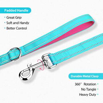 PHOEPET 5 Feet Dog Leash with Comfortable Padded Handle Easy Snap Clasp - Reflective Walking Lead for Large, Medium & Small Breed Dogs (Mint Green + Pink Base)
