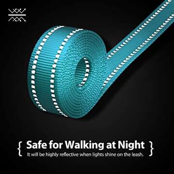 PHOEPET 5 Feet Dog Leash with Comfortable Padded Handle Easy Snap Clasp - Reflective Walking Lead for Large, Medium & Small Breed Dogs (Mint Green + Pink Base)