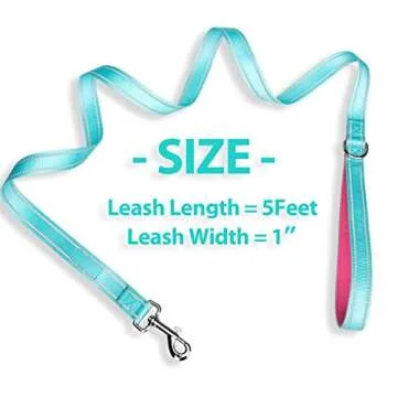 PHOEPET 5 Feet Dog Leash with Comfortable Padded Handle Easy Snap Clasp - Reflective Walking Lead for Large, Medium & Small Breed Dogs (Mint Green + Pink Base)