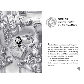 Sejal Sinha Battles Superstorms Adventure Book