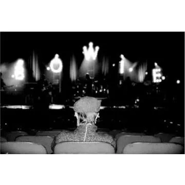 David Bowie Live in New York - Iconic Concert Experience