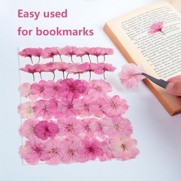 48 Pcs Dried Pressed Cherry Blossom Flowers for Crafts