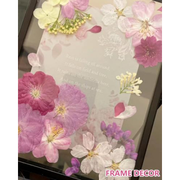 48 Pcs Dried Pressed Cherry Blossom Flowers for Crafts