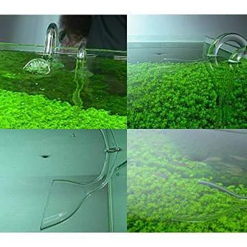 FZONE Glass Lily Pipe Outflow for Aquariums - 1/2'' Tubing