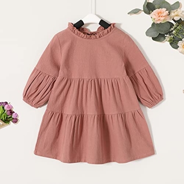 Toddler Baby Girl Dress for Fall Winter Outfits