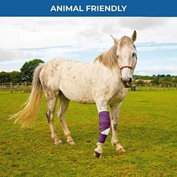 BANDVET WRAP Self Adhesive Bandage Wrap - Pack of 12 Assorted Colors, Non-Woven, Breathable & Water-Resistant Vet Wrap for First Aid, Sports Injury, Body Sprains, & Pets - 4 Inch x 5 Yards