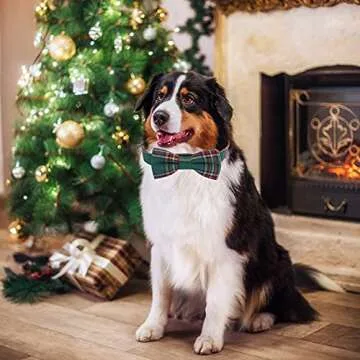 Stylish Adjustable Christmas Dog Collar with Bowtie