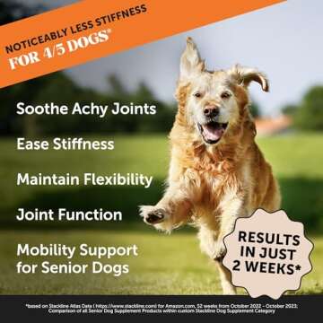 Pet Honesty Senior Hemp Hip & Joint Supplement for Dogs - Dog Joint Supplement with Hemp Oil & Powde...