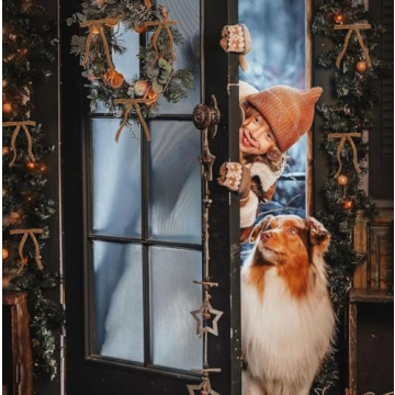 SIMISI Velvet Christmas Bows, 24 Pcs Set for Festive Decor