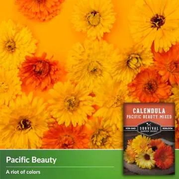 Calendula Pacific Beauty Seeds - Vibrant Non-GMO Flower Variety