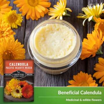 Calendula Pacific Beauty Seeds - Vibrant Non-GMO Flower Variety