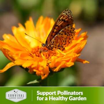 Calendula Pacific Beauty Seeds - Vibrant Non-GMO Flower Variety