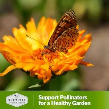 Calendula Pacific Beauty Seeds - Vibrant Non-GMO Flower Variety