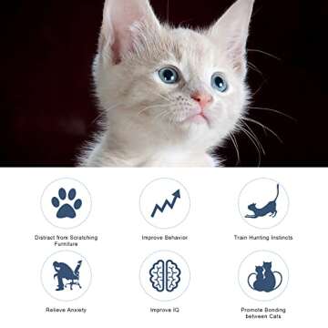 AIEX Cat Teaser Toy, Cat Wand Toy Retractable with Silicone Collar Interactive Cat Toys Attached with Feather for Indoor Cat Kitten Exercise Training (Blue, Pink)